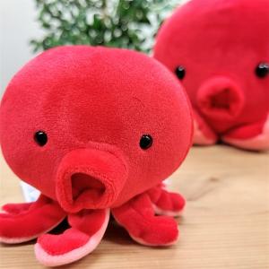 ぷてぃまりんタコ フエ入りマスコット(小) ぬ...の詳細画像2