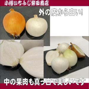 サラダ玉ねぎ(白玉ねぎ) 2.5kg s〜M玉...の詳細画像1