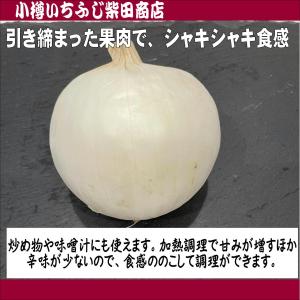 サラダ玉ねぎ(白玉ねぎ) 2.5kg s〜M玉...の詳細画像3