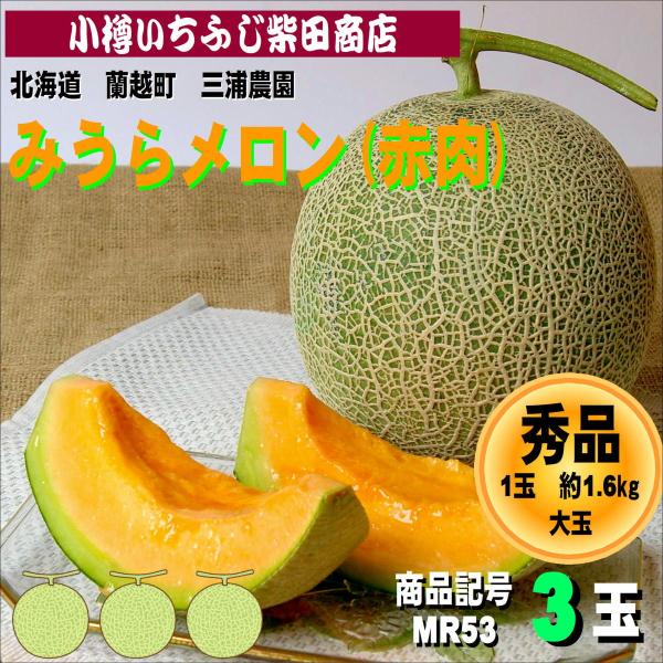 MR53　3玉　みうらメロン(ティアラ)　蘭越町　三浦農園