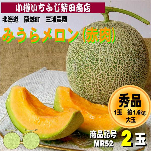 みうらメロン(ティアラ)　約1.6kg　2玉　蘭越町　三浦農園
