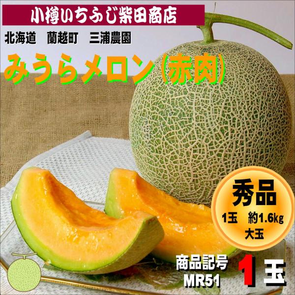 みうらメロン(赤肉・ティアラ)　約1.6kg　1玉　蘭越町　三浦農園