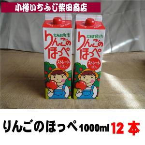 果汁100%りんごジュース【りんごの幸せ・1000ml瓶（ビン）×6本入2箱