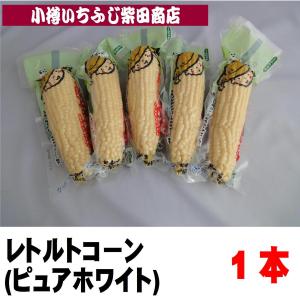お福分けおろし本わさび6P（6包入り2個セット）条件付き送料無料 本