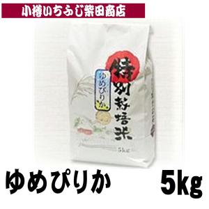 蘭越米　ゆめぴりか　5kg　三浦農園　令和7年産　新米　R05