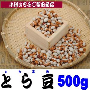 B09　500g　とら豆　北海道産
