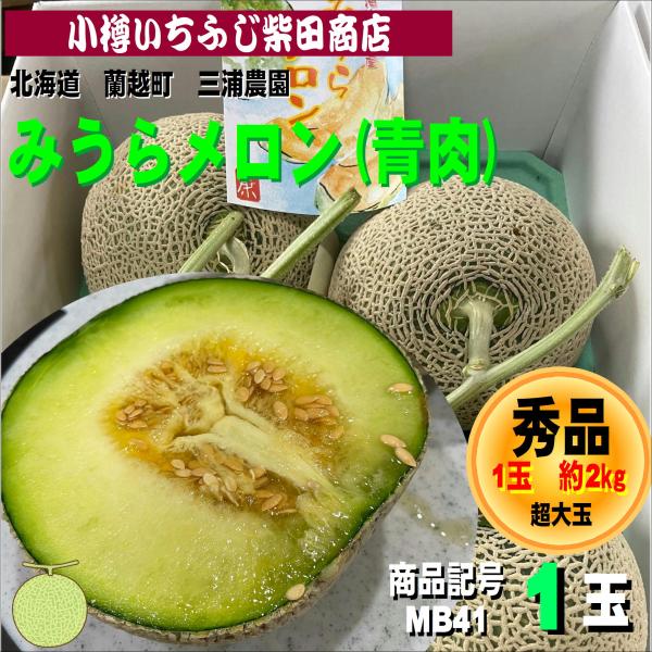 MB41　約2kg　1玉　みうらメロン(青肉・ミラノ)　蘭越町　三浦農園