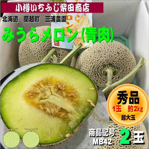 MB42　約2kg　2玉　みうらメロン(青肉・ミラノ)　蘭越町　三浦農園