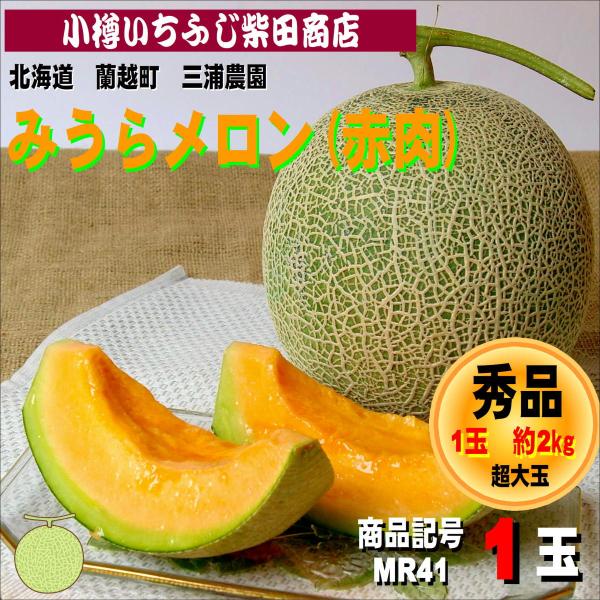 みうらメロン(赤肉・ティアラ)　約2kg　1玉　　蘭越町　三浦農園