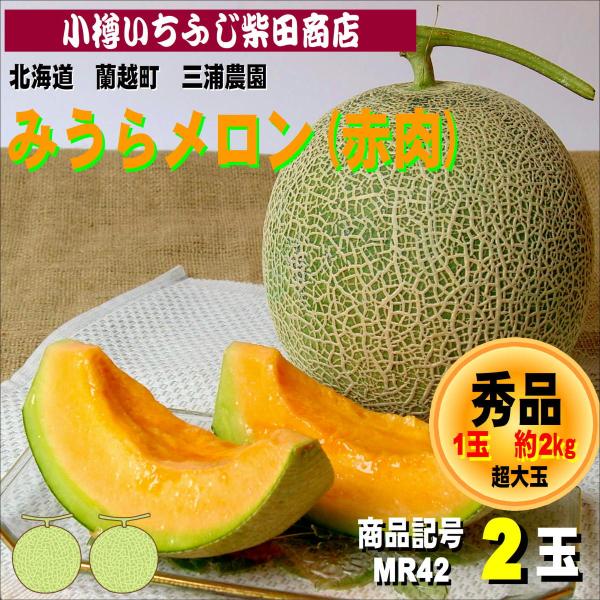 みうらメロン(ティアラ)　約2kg　2玉　　蘭越町　三浦農園