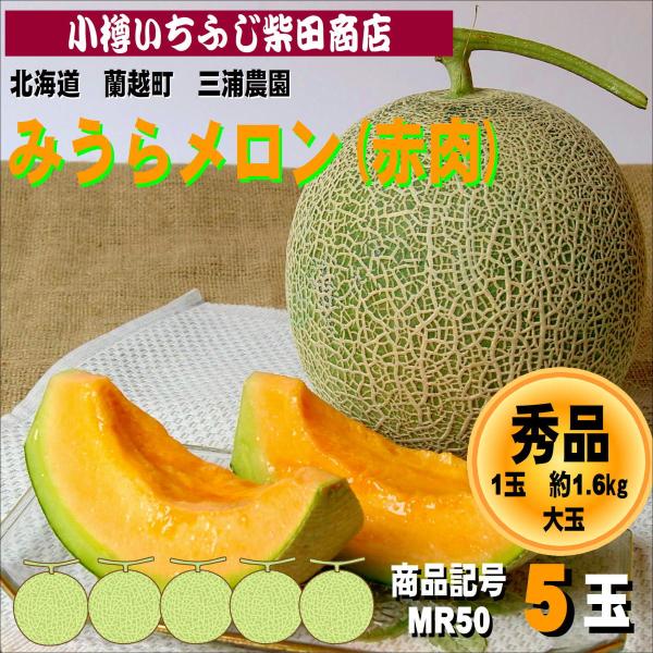 みうらメロン(ティアラ)　約1.6kg　5玉　蘭越町　三浦農園