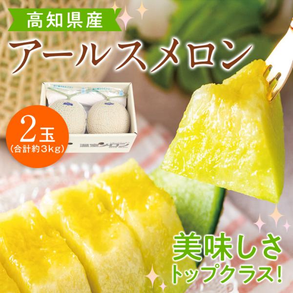 高知県産 アールスメロン 2玉(約3kg) 温室 フルーツ 高級メロン ブランド 果物 甘い