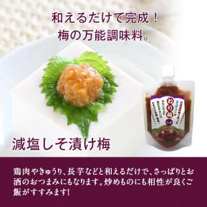 梅干し ねり梅 2種セット(180g×2) 塩...の詳細画像4