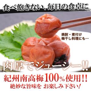 梅干し しそ漬け梅 塩分8% 500g 南高梅...の詳細画像4