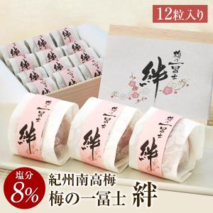 お得な12本セット」 高麗人参と蜂蜜入りアリゾナ緑茶 アリゾナグリーン