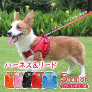 【全品7％OFF】犬 ハーネス リード付 首輪 簡単装着 小型犬 中型犬 可愛い 夜間反射材 サイズ調整可 ペット 散歩 おしゃれ 送料無料｜ichifujiy