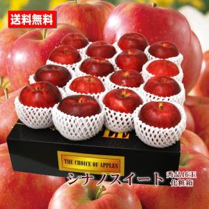 りんご シナノスイート 長野県産 秀品 １６玉 化粧箱 甘い ジューシー 送料無料 贈答用 ご家庭用 プレゼント 手土産 お祝い