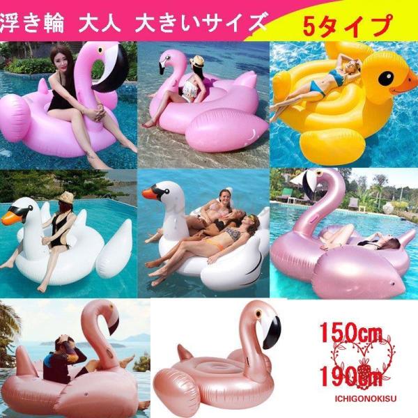 浮き輪 フロート 大人 取っ手 うきわ 浮輪 フラミンゴ 白鳥 インスタ映え 可愛い かわいい おし...