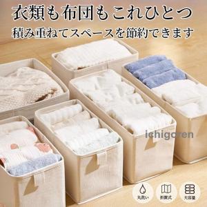 下着収納ボックス 収納ケース 小物収納 折りたたみ 省スペース 収納 ブラジャー/下着/衣類/アンダーウェア/靴下/ネクタイ 収納ケース