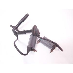 バイク *KAWASAKI Z250FT Z250LTD DC12V イグニッションコイル セット