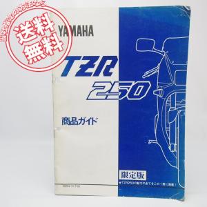 スカイウェイブ250純正テールランプ 割れなし交換に CJ46外し CJ44