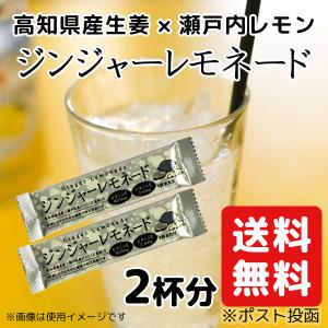 お試し ジンジャー レモネード 2個セット 生姜 レモネード 送料無料｜お茶の一条