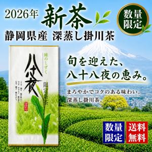 新茶 深むし 掛川茶 初濃 100g 静岡県産 深蒸し茶 2026年度 送料無料