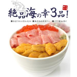 敬老の日 ギフト 海鮮セット 本マグロ大トロ ...の詳細画像1