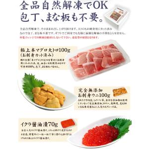 敬老の日 ギフト 海鮮セット 本マグロ大トロ ...の詳細画像2