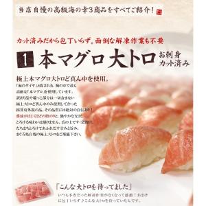 敬老の日 ギフト 海鮮セット 本マグロ大トロ ...の詳細画像4