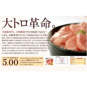 敬老の日 ギフト 海鮮セット 本マグロ大トロ ...の詳細画像5