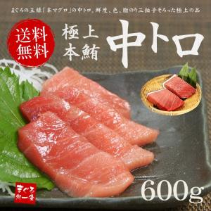 本マグロ中トロ 600g 送料無料 解凍レシピ付 刺身 海鮮 食べ物〈bf1〉《pbt-bf2》yd9[[中トロ300-2p]