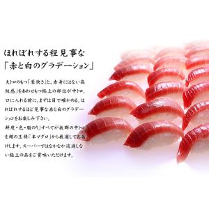 12月お届け限定 本マグロ中トロ1kg!送料無...の詳細画像3