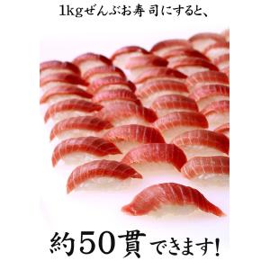 12月お届け限定 本マグロ中トロ1kg!送料無...の詳細画像5