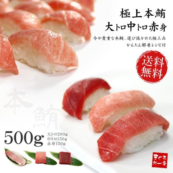 本マグロ大トロ中トロ赤身セット500g 送料無料 解凍レシピ付 刺身 食べ物《pbt-bf8》〈bf...