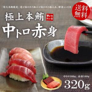 本マグロ中トロ赤身セット 320g 送料無料 解凍レシピ付 刺身 食べ物《pbt-bf7》〈bf1〉yd9[[中赤セット]｜ichijyo