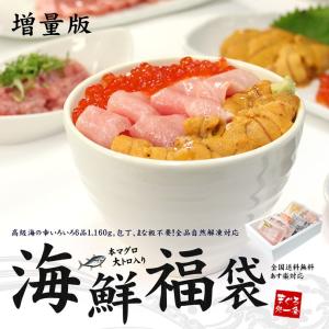 本マグロ大トロ入り海鮮福袋 ウニ いくら 中トロ ネギトロ 漬け 増量版 送料無料 om22《not-st1》〈st1〉yd5[[海鮮福袋-2p]｜まぐろ処一条