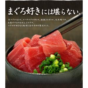 大トロ入り まぐろ尽くし福袋 中トロ ネギトロ...の詳細画像1