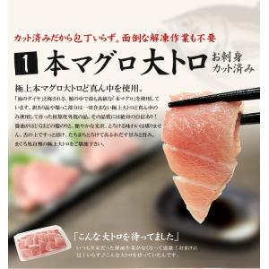 大トロ入り まぐろ尽くし福袋 中トロ ネギトロ...の詳細画像3