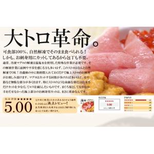 大トロ入り まぐろ尽くし福袋 中トロ ネギトロ...の詳細画像4