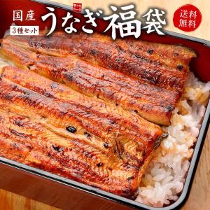 父の日 プレゼント 海鮮 うなぎ ウナギ 国産うなぎ福袋 長蒲焼き160〜170g きざみうなぎ80g 肝串焼き2本 送料無料《not-du1》〈ue1〉[[国産うなぎ福袋]｜ichijyo