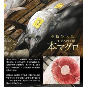 カタログギフト 海鮮・マグロ 選べるギフト「和...の詳細画像4