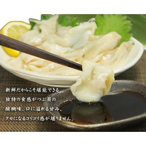 つぶ貝スライス お刺身用60g(10切入) カ...の詳細画像4