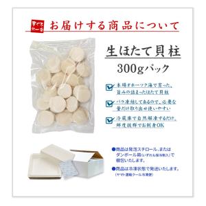 ホタテ ほたて 北海道産生ホタテ300g(10...の詳細画像1