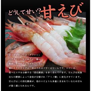 甘えび あまえび 尾付きむき甘えび20尾 刺身...の詳細画像5