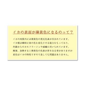 アカイカ スライス お刺身用140g(20切入...の詳細画像5