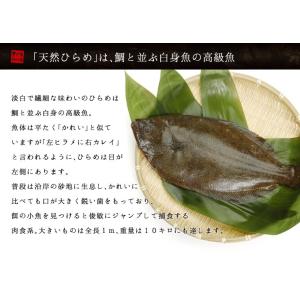 国産 ヒラメのえんがわ 100g 天然 平目 ...の詳細画像5