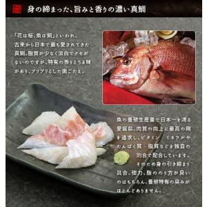 真鯛ぶつ切り 200g 国産 お刺身 訳あり ...の詳細画像4