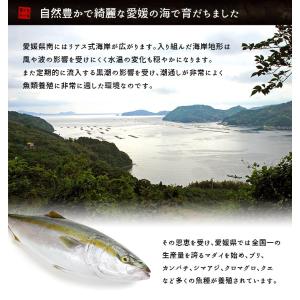 真鯛ぶつ切り 200g 国産 お刺身 訳あり ...の詳細画像5
