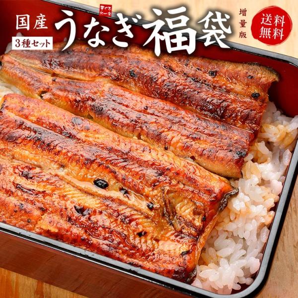 うなぎ ウナギ 国産うなぎ福袋 長蒲焼き、きざみうなぎ、肝串焼き 送料無料《not-du2》〈ue1...